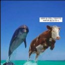 (주)이작 이미지