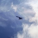 바다추억 이미지