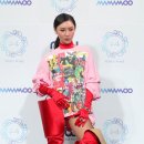 화사 이미지