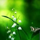 병옥농장 이미지