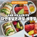 자연을담은국수 | 세종 자연을담은과일 - 과일도시락 후기 | 행사 간식으로 좋은 피크닉세트!