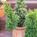 다목농장 이미지