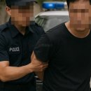 남양농장 이미지