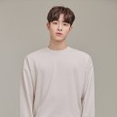 안정훈 카카오 검색결과