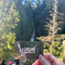 CLIFF BAY HOTEL(클리프 베이 호텔) | 🇨🇦🇺🇸[캐나다·밴쿠버·밴프·시애틀] 16박 17일 여행 | 밴쿠버 카필라노 서스펜션 브릿지 (카필라노...