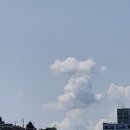 광명할머니왕족발