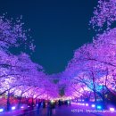 우리안펜션