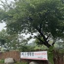 오산4리(주공A) | 방금 오픈한 신생 캠핑장 “그때 그 캠핑장” 다녀왔어요! 🏕️🐶😶‍🌫️🩵