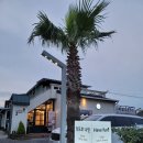 당포로나인돈카츠