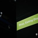 달마축산 | 동물보호 콘서트 Dog, The friend의 후기 전해드립니다!