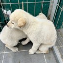 강변장모텔 이미지