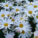 볼링교실 이미지