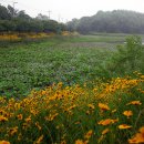 프라자호텔 이미지