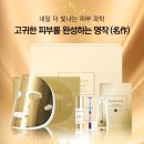 미라클 테라피