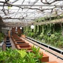 영동황간로1 이미지