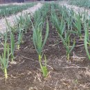 청산마을 이미지