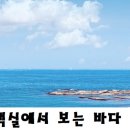 아야진부동산 공인중개사사무소 이미지