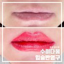 대남대로 | 수미다움 | 광주 봉선동 입술 반영구 내돈내산 후기 얇은 입술 오버립으로 자연스럽게 바뀐 후기
