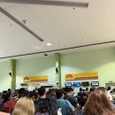 포레스트힐어학원 | 세부 항구, 바클레욘 성당, 로복강 선상 레스토랑, 맨메이드포레스트, 안경원숭이 보호구역, 초콜릿 힐