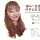 기통찬장어 이미지