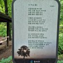 강서구 봉제산 둘레길 근린공원 어르신복지센터 물레방아 음악마당 이미지