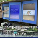 재난경보방송 이미지