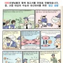 액틴 이미지