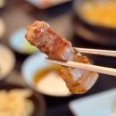 WOW 팡팡 이미지