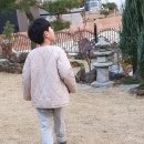 모드니 한옥펜션 이미지