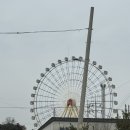 참맛손칼국수 | 삽교호 맛집 참맛손칼국수｜담백한 손칼국수와 바삭한 새우튀김 후기