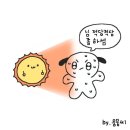 [냠냠후기] 서울 방학동 더 맛있는 족발 보쌈 방학점 in 배달의민족 족발 직화불족 막국수