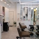 비땅기헤어 이미지