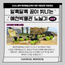 [교육] 알록달록 꿈이 빛나는 예천박물관 노닐기 2회차 참여 후기(도담어린이집, 예성어린이집)