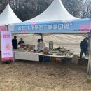 골체오름캠핑 | 2026 제주 골체오름 벚꽃축제 일정 총정리 (feat. 제주 봄여행 벚꽃명소로 주목받는 이유)