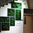 남한강초등학교 병설유치원 이미지