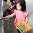 봄내목장 | 어린아이들에게 동물의 체험을 할 수가 있는 칠곡 양떼목장 // 캐논 EOS 5D Mark IV (5디 마크4)후기