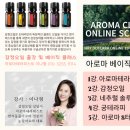 눈꽃아로마