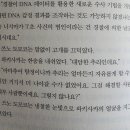 마녀당구클럽 네이버블로그