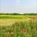 오성2단지 이미지