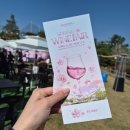 워커힐떡볶이 | # 🍷 워커힐 와인페어 다녀왔어요!! 취한 채로 쓰는 생생 후기