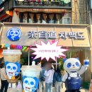 포벨 | 서면 카페 차백도 부산 중국 밀크티 상륙 1시간 웨이팅 핫플 후기