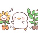 감나무집 농원펜션 이미지