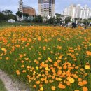 지식의 꽃밭 화장실 이미지