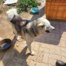 새만금 관광안내소 이미지