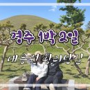 아르노펜션 이미지