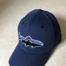 파타고니아- 피츠로이- 트라우트캡.patagonia trout fish snapback baseball cap hat men 이미지