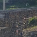 펜션화수목 이미지