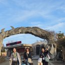 아소팜 | 일본여행 2일째, "동화 속 세상 같은 아소팜랜드 여행기"