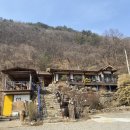 산에는 꽃이피네 이미지