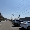 마을회관 맞은편 다리건너 | 봄 꽃 나들이 추천 장소, 전남 구례 지리산 치즈랜드 (수선화 만개!)